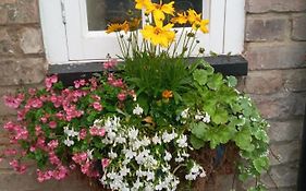 Delighful Self Catering In The Heart Of Glastonbury